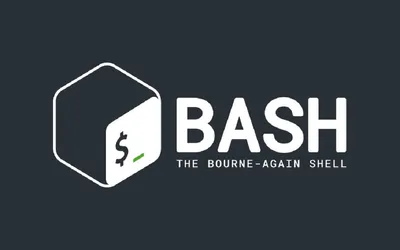 Bash for Hackers
