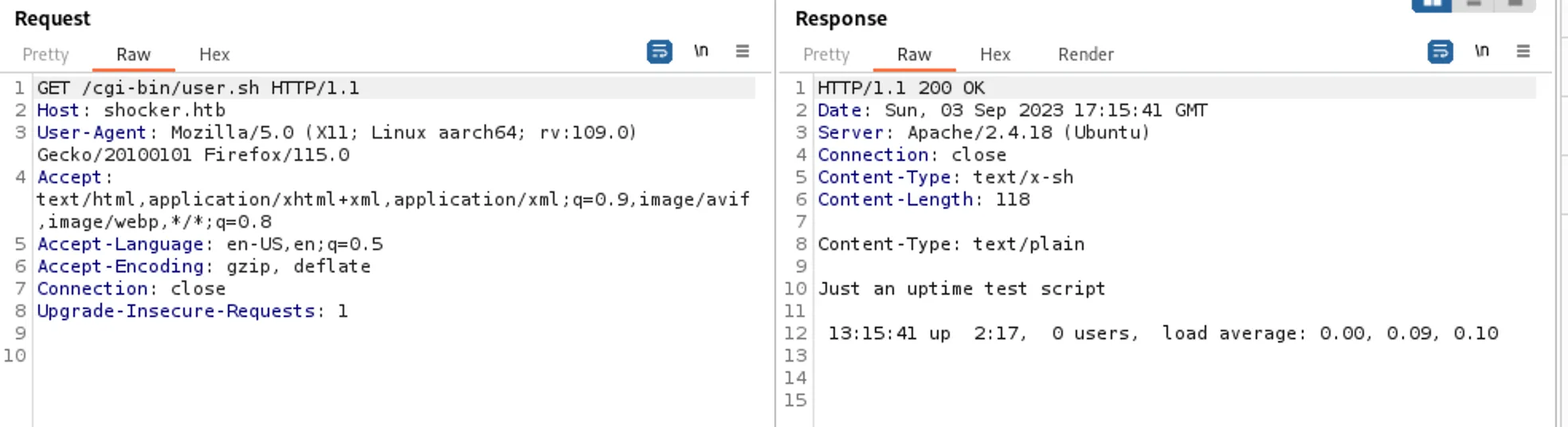 BurpSuite Intercepted Request