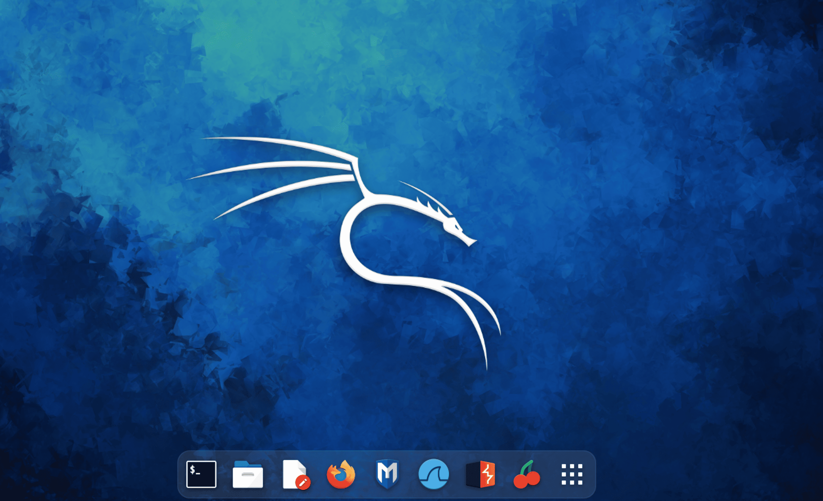 My Kali Linux Setup, things that I do / modify after installing Kali Linux.