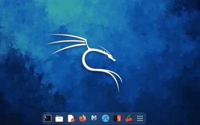 My Kali Linux Setup